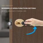 Smart Fingerprint lock YH-L1 Black YOUHE Finger, Password, Key