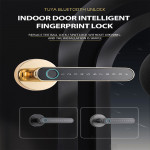 Smart Fingerprint lock YH-L1 Black YOUHE Finger, Password, Key