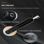 Smart Fingerprint lock YH-L1 Black YOUHE Finger, Password, Key
