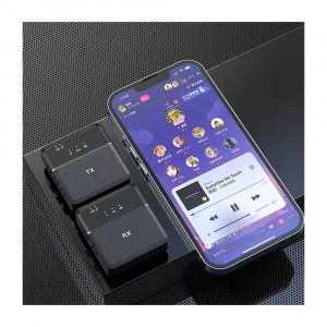 Wireless Microphone SX9    2 Microphone